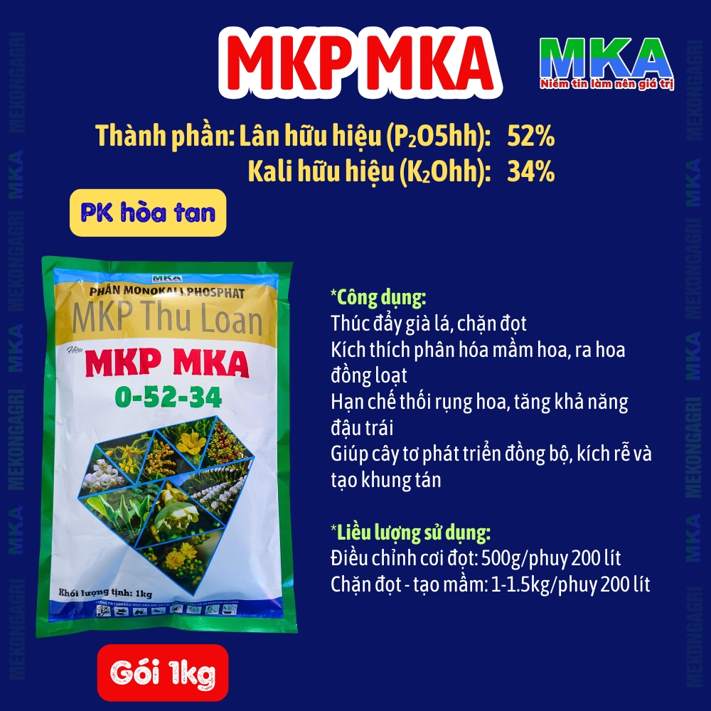 Phân bón chặn đọt MKP MKA chặn đọt tạo mầm